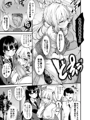 [すいのせ] 生意気ギャルとわからせハーレム_12