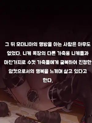 [レッディ(Letdie)] 作品收集2024.11 [Decensored]_194_K_34