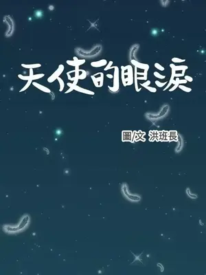 天使的眼淚 1-20話[完結]_003001