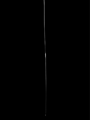 (コミティア152) [アイソカーブ (アレグロ)] 異形交尾快楽地獄 (オリジナル) [DL版]_016