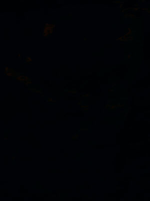 [菜就多练]圣女之书02_096