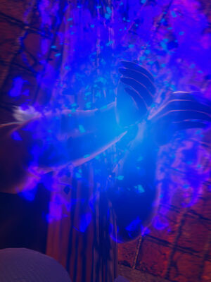 [菜就多练]圣女之书02_124