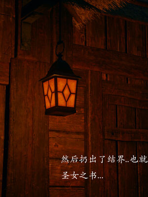 [菜就多练]圣女之书02_169