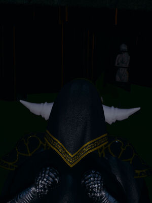 [菜就多练]圣女之书02_277