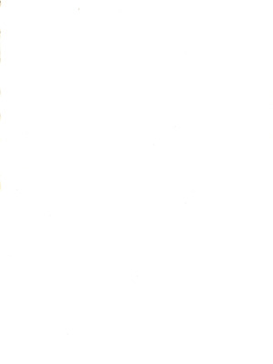 (ぷにケット16) [ぐるり堂 (イクヰロン)] らき☆すと (らき☆すた) [Polaris个人汉化]_02