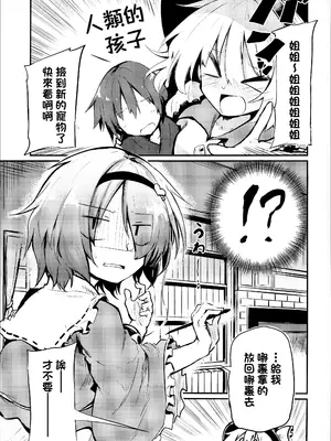 (C95) [あるたな (薙派)] 「仕方のない子ですねぇ」と言いながら挿入させてくれるさとりお姉ちゃん (東方Project) [明稿昨拖漢化組]_05