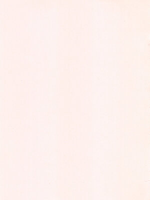 [江戸川浪漫] ましゅまろでぃず + とらのあなリーフレット_005_5