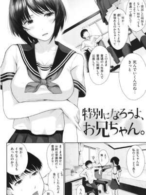 [江戸川浪漫] ましゅまろでぃず + とらのあなリーフレット_179_179