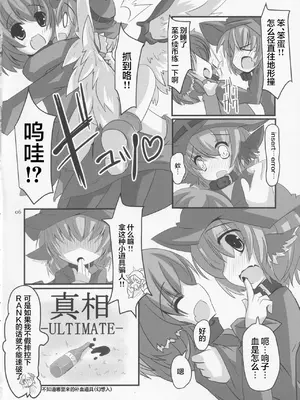 (例大祭10) [Last Will-ist (碧竜)] 鳥獣伎楽最大往生 ブラックレーベル (東方Project) [粉兔个人汉化]_05