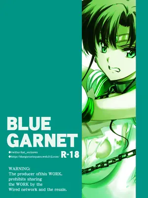 [ブルーガーネット (芹沢克己)] その星は汚されて 6 (美少女戦士セーラームーン) [DL版]_30