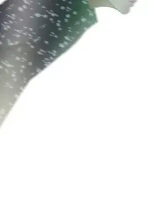 戀愛前奏曲：歸來 1-65話[完結]_004084