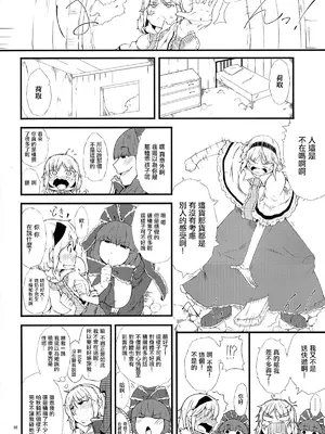 (C86) [燃えるゴミ (御形紘)] 厄物☆中毒 ～MASTER PIECE～ (東方Project) [中国翻訳]_08