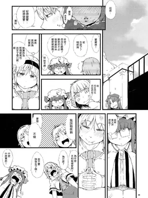 (C86) [燃えるゴミ (御形紘)] 厄物☆中毒 ～MASTER PIECE～ (東方Project) [中国翻訳]_11