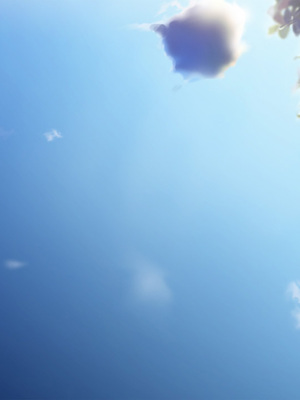 [スーパーバッド] 爆乳に育った田舎娘とヤリなおす夏_641