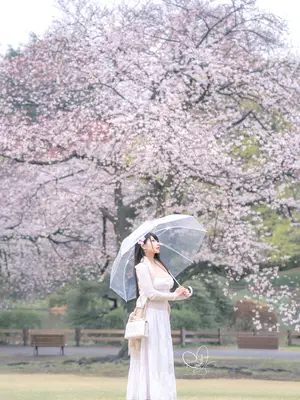 [HaneAme雨波] 原创 雨樱下的约定_10