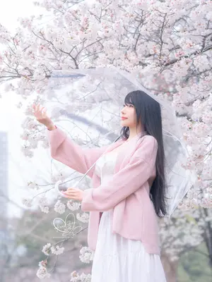 [HaneAme雨波] 原创 雨樱下的约定_30