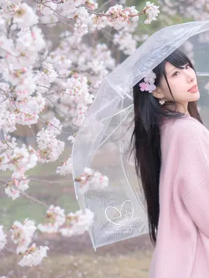 [HaneAme雨波] 原创 雨樱下的约定_31