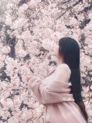 [HaneAme雨波] 原创 雨樱下的约定_39