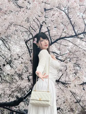 [HaneAme雨波] 原创 雨樱下的约定_49