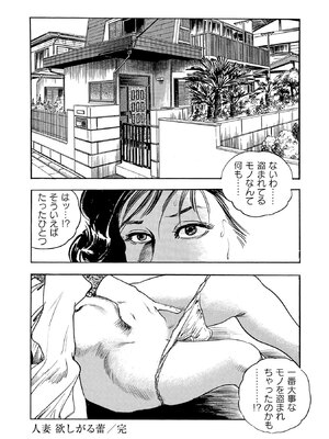 [ケン月影×早見義夫] チャンバラ妻りつ子_00314