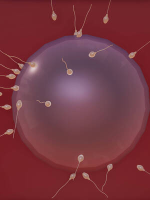 [糖果]魔法少女冯迪妮母女01_216 