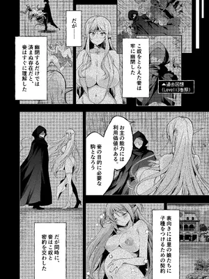 [にのこや (にの子)] エルフに淫紋を付ける本 LEVEL：8 [DL版]_20