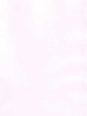 (レインボーフレーバー32)[ヨナカヤキソバ(大福)] ヒーローさんとまた会う日まで ｜ 直到再次与英雄小姐相见 (ひろがるスカイプリキュア！) [中国翻訳]_02