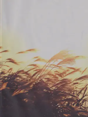 [わんわんお (もとび)] 神無月の暮に (犬夜叉)_02