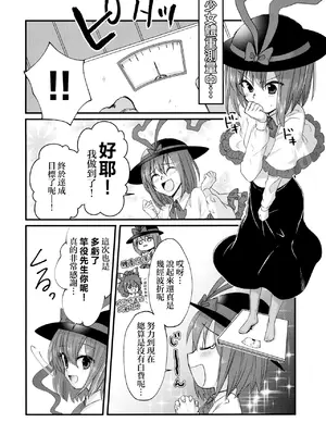 (C95) [鮭虎家 (暁)] 衣玖さんと一緒に色々頑張る本 (東方Project) [中国翻訳]_04