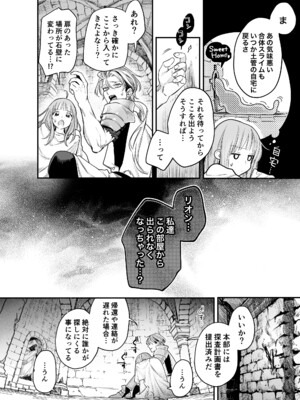 [Visualize (ENVY)] ただの幼馴染みのはずだった聖騎士がダンジョンの密室で積年の執着を告白してきた!？_38