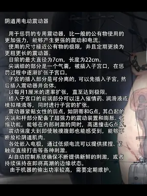 [ゆきむら丸] 公有物少女3～国から人権を剥奪され物として扱われる女の子の話～ 三日目編 [DL版] [中国翻訳]_243