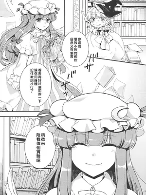 (例大祭11) [WHITEsoda、ハシビロ工房 (みおはす、赤夜)] 月星ルシャトリエ (東方Project) [nonothird个人汉化]_17