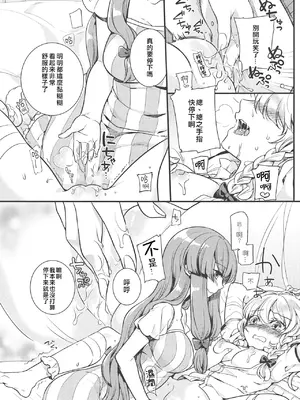 (例大祭11) [WHITEsoda、ハシビロ工房 (みおはす、赤夜)] 月星ルシャトリエ (東方Project) [nonothird个人汉化]_26