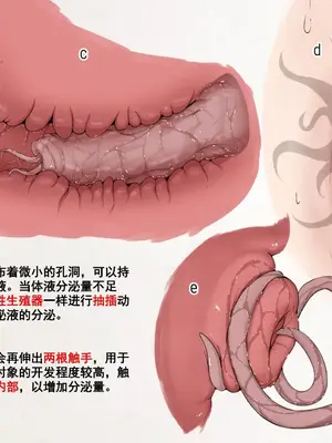 [Gura Craft] 蟲研究レポート_ Character profile+No.01-25,27_119
