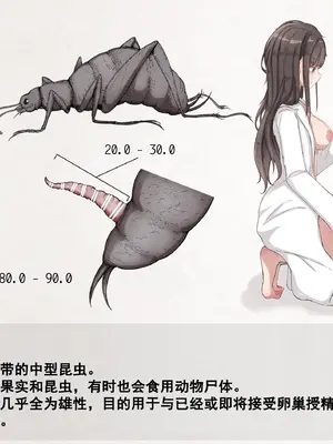 [Gura Craft] 蟲研究レポート_ Character profile+No.01-25,27_108