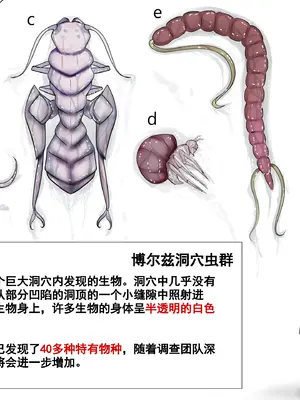 [Gura Craft] 蟲研究レポート_ Character profile+No.01-25,27_022