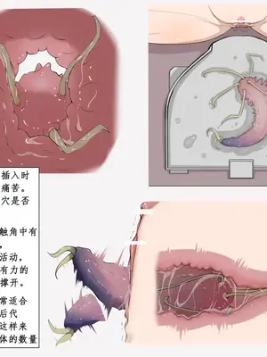 [Gura Craft] 蟲研究レポート_ Character profile+No.01-25,27_012