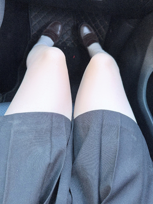 [ももにゃん（原魔物喵）] 車で