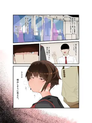 [トゥーンワーカー (タムヒ)] 眼つきが悪くて、態度がキツくて、チビで貧乳な僕の彼女は電車内でも寝Tられる。_02