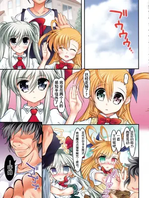 (C88) [STUDIOふあん (来鈍)] ViviEin★HaRD フルカラー版 Platinum (魔法少女リリカルなのは)【Polaris个人汉化】_06