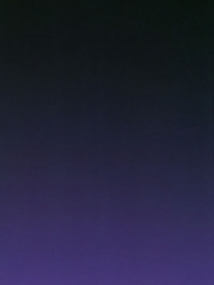 [Panda Cotta (ささくまきょうた)] 彼女が出来たらペットが病んでサキュバスになった話 [Amerins漢化]_26