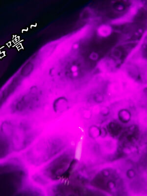 [TTi]天玄神魔录05_134