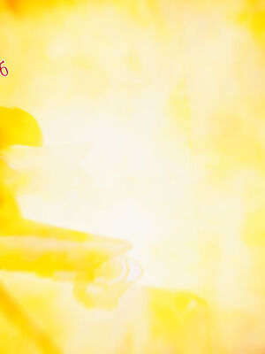 [見人就打]新宠物捕捉大师25_179