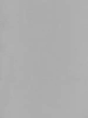 (C70) [トッドスペシャル (トッド小山田)] ゆけむりにゃんにゃん事件 (ブリーチ) [考古學家個人漢化] [無修正]_02