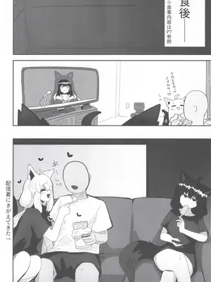 (C105) [ちモミ亭(仮) (ちモミ屋)] マイファーストフォックス 2 (白上フブキ)_11