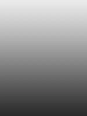 ACE：禁斷的詐欺之夜 1+2季[完結]_1001005