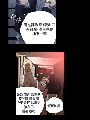 ACE：禁斷的詐欺之夜 1+2季[完結]_1001012