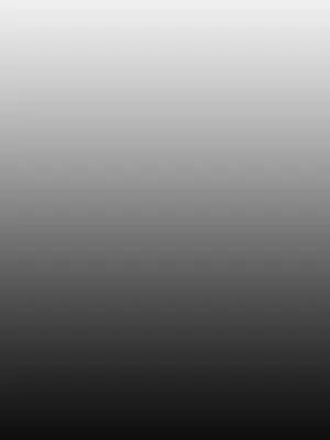 ACE：禁斷的詐欺之夜 1+2季[完結]_1001023