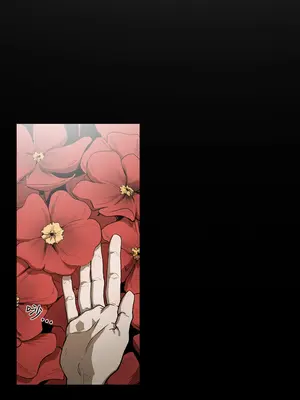 ACE：禁斷的詐欺之夜 1+2季[完結]_2003011