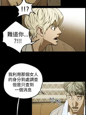 ACE：禁斷的詐欺之夜 1+2季[完結]_2006002